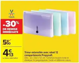 Carrefour Drive Viquel - trieur extensible avec rabat 12 compartiments propyssoft offre