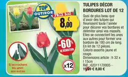 Outiror TULIPES DÉCOR offre