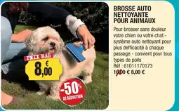Outiror BROSSE AUTO NETTOYANTE POUR ANIMAUX offre