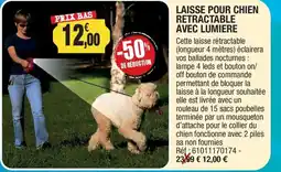 Outiror LAISSE POUR CHIEN RETRACTABLE AVEC LUMIERE offre