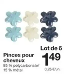 Zeeman Pinces pour cheveux offre