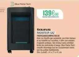 Extra Taurus - radiateur gaz offre