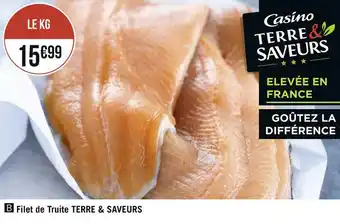 Géant Casino Casino filet de truite terre & saveurs offre