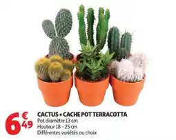 Auchan CACTUS + CACHE POT TERRACOTTA offre