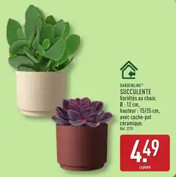 ALDI GARDENLINE SUCCELLENTE offre