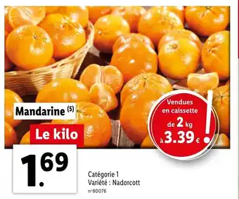 Lidl Mandarine offre