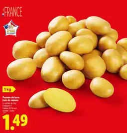 Lidl Pomme de terre baie de somme offre