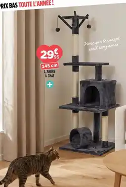 Centrakor L'arbre à cinta offre