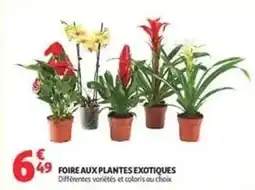 Auchan Supermarché Foire aux plantes exotiques offre