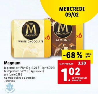Lidl Magnum offre