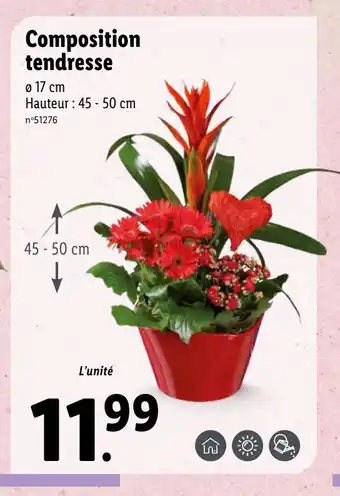 Lidl Composition tendresse offre