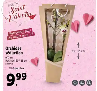 Lidl Orchidée séduction offre
