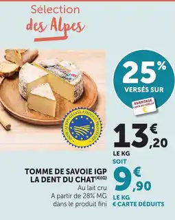 Bi1 LA DENT DU CHAT offre