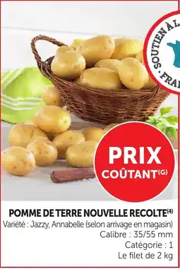 Bi1 POMME DE TERRE NOUVELLE RECOLTE offre
