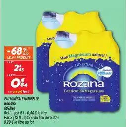 Netto Rozana Eau minérale naturelle gazeuse offre