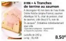 Thiriet Tranches de terrine au saumon offre