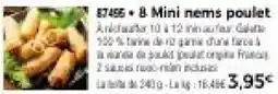 Thiriet 8 Mini nems poulet offre