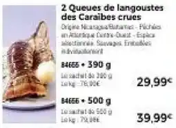 Thiriet 2 Queues de langoustes des Caraïbes offre