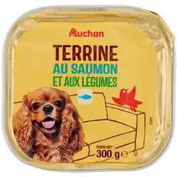 Auchan Supermarché Auchan barquette de terrine pour chien au saumon et légumes auchan offre