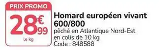 Promo - homard européen vivant 600/800