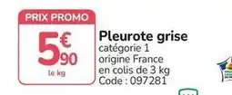 Promocash Promo - pleurote grise offre