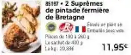 Thiriet 2 Suprèmes de pintade fermière de Bretagne offre