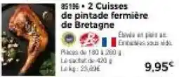 Thiriet 2 Cuisses de pintade fermière de Bretagne offre