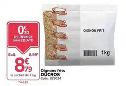 Promocash Ducros - oignons frits offre