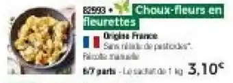 Thiriet Choux-fleurs en fleurettes offre