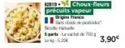 Thiriet B2819+ Choux-fleurs offre