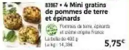 Thiriet 83957 • 4 Mini gratins de pommes de terre et épinards offre