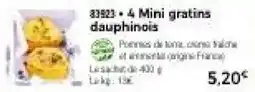 Thiriet Mini gratins dauphinois offre