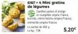 Thiriet Mini gratins de légumes offre