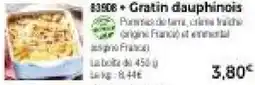 Thiriet 83508 + Gratin dauphinois offre