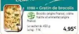 Thiriet Gratin de brocolis offre
