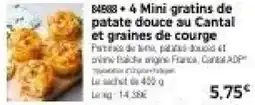 Thiriet 4 Mini gratins de patate douce au Cantal et graines de courge offre