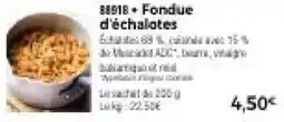 Thiriet Fondue d'échalotes offre