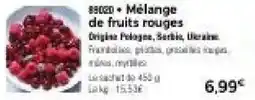 Thiriet 89020 • Mélange de fruits rouges offre