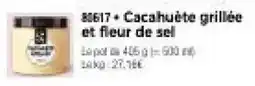 Thiriet Cacahuète grillée et fleur de sel offre
