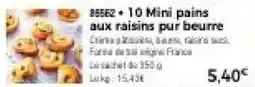 Thiriet ssssz + 10 Mini pains aux raisins pur beurre offre