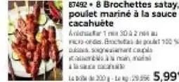 Thiriet Brochettes satay offre
