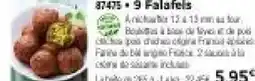 Thiriet Falafels offre