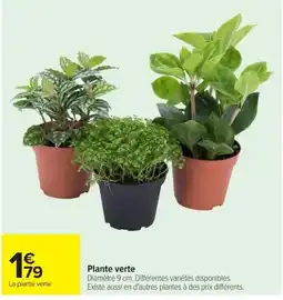 Carrefour Plante verte offre