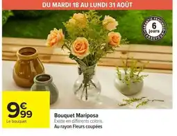 Carrefour Bouquet Mariposa offre