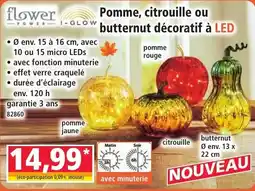 Norma flower power i-glow pomme citrouille ou butternut décoratif à LED offre