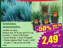 Norma Graminées ornementales offre