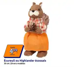 Action Écureuil ou Highlander écossais offre