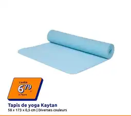 Action Kaytan Tapis de yoga offre