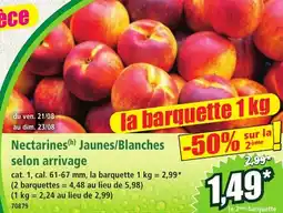 Norma Nectarines(h) Jaunes/Blanches offre