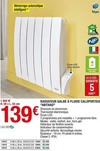 Brico Dépôt Blyss radiateur galbé à fluide caloporteur "anthao" offre